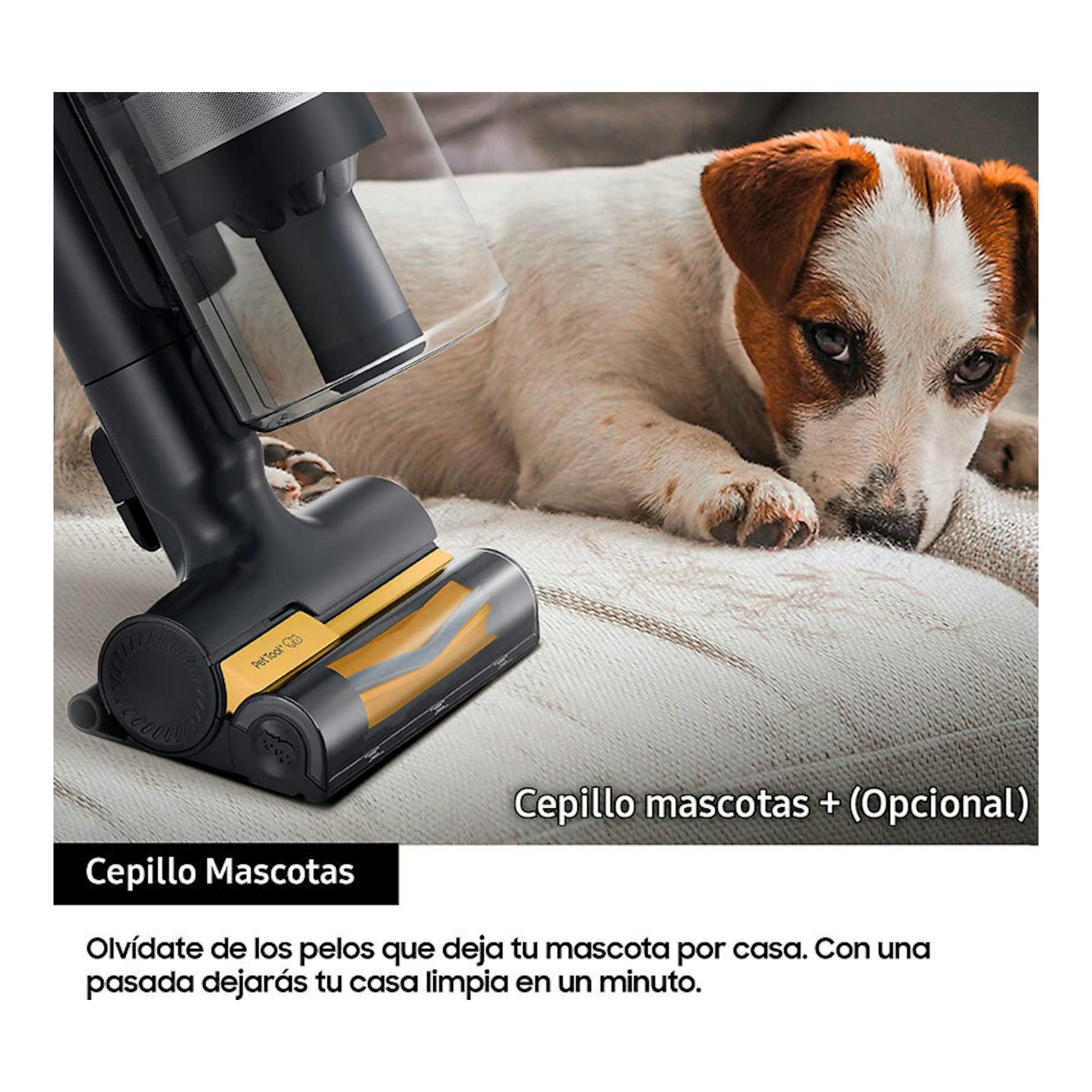 Samsung VS20B75ACR5/WA, cepillo para mascotas de aspiradora negro y amarillo sobre sofá, junto a un perro.